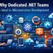 Why Dedicated .NET Teams Are Ideal for Microservices Development